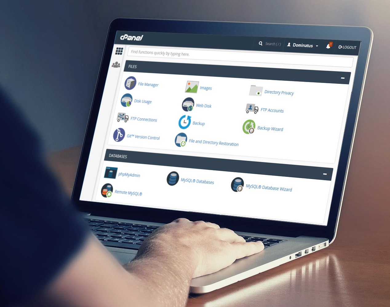Web hosting Dominatus - cpanel