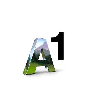 A1